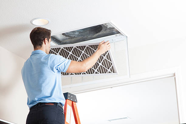 Best Best HVAC Companies  in Lake Winnebago, MO